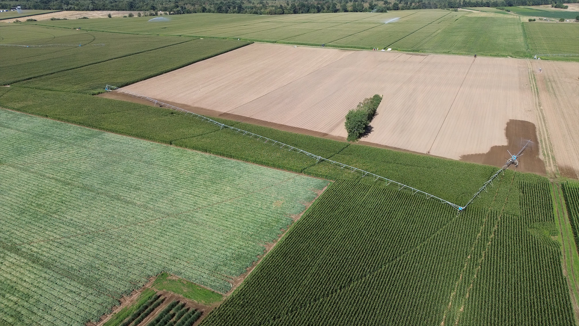 Vue aérienne de parcelles agricoles avec un système d'irrigation à pivot central en action, entourées de cultures en rangs.