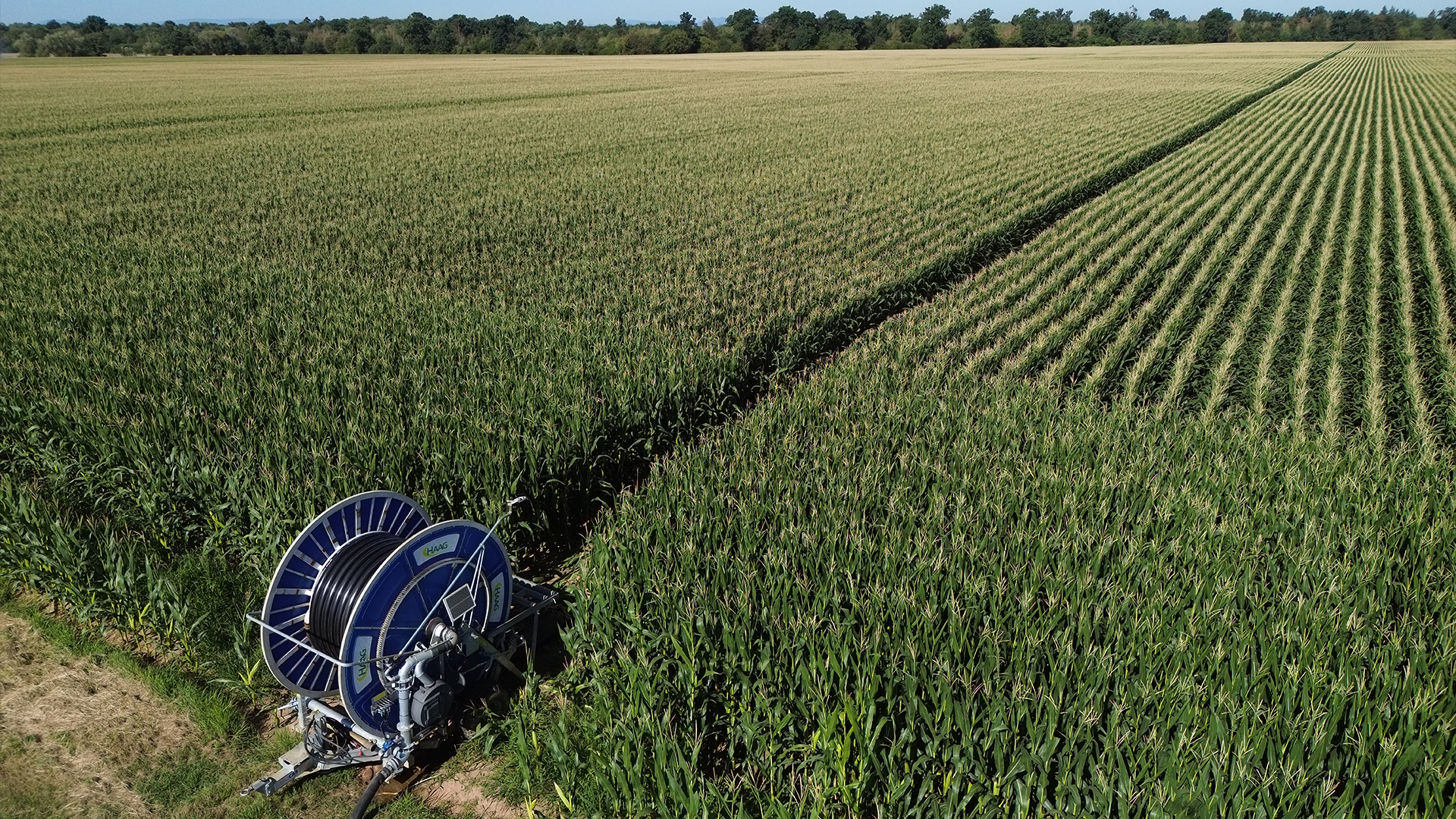 Enrouleur d'irrigation HAAG positionné en bordure d'une parcelle de maïs, vue depuis un drone.